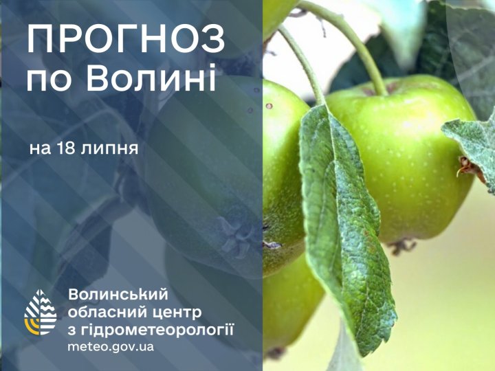 Погода в Луцьку та Волинській області на завтра, 18 липня