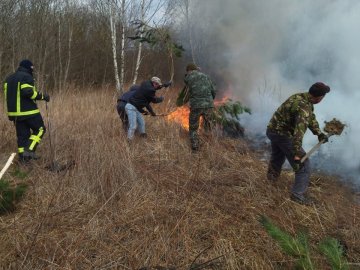 На Волині за добу ліквідували 9 пожеж: вигоріло понад  23 гектари сухостою 