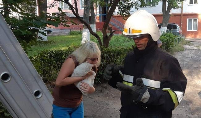 З голоду почав їсти кору: на Рівненщині врятували кота, який не міг злізти з дерева. ФОТО