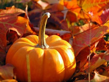 Погода у Волинській області та Луцьку на завтра, 6 листопада