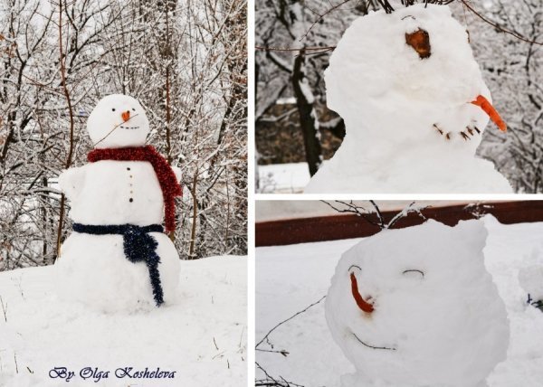 Фотовиставка Ольги Кошелєвої