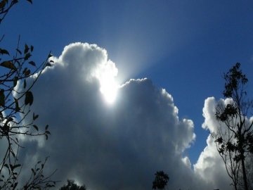 Погода в Луцьку та Волинській області на 12 березня