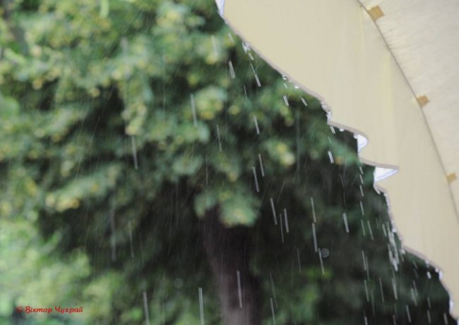 Мокрий Луцьк на знімках луцького фотографа