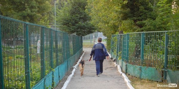 Починають вигулювати собак