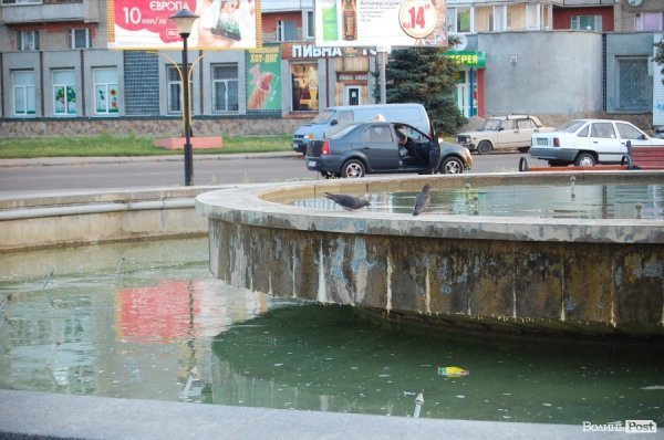 Голуби п'ють воду прямо з фонтану