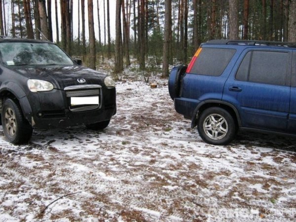 Ковельські «мажори» порушують правила полювання