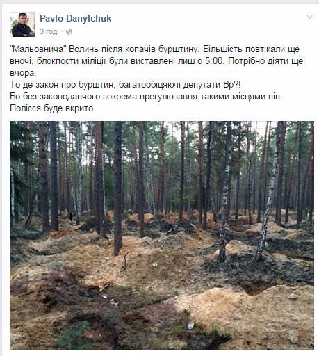 Що робиться у Маневицьких лісах? ФОТО