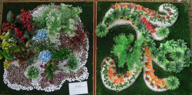 На Волині обрали найкращих ландшафтних дизайнерів серед школярів