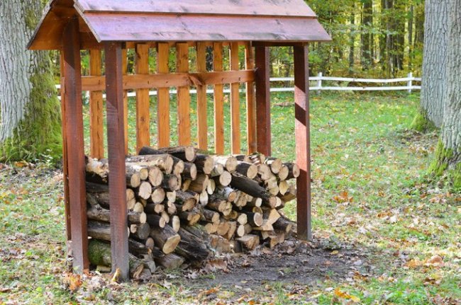 Атмосферні осінні світлини лісових рекреаційних зон на Волині. ФОТО