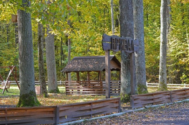 Атмосферні осінні світлини лісових рекреаційних зон на Волині. ФОТО