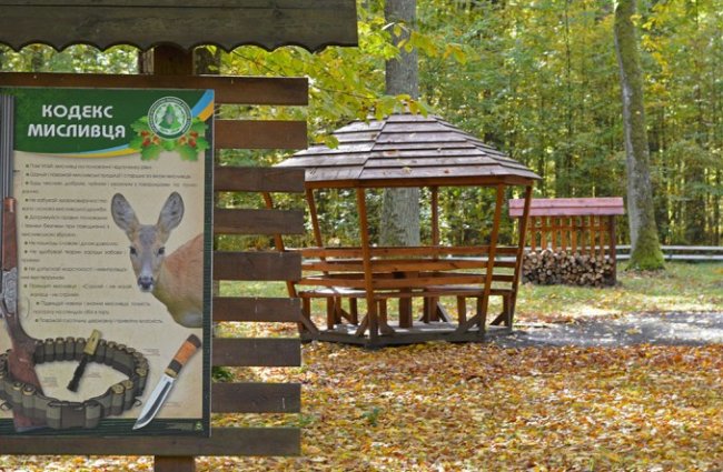 Атмосферні осінні світлини лісових рекреаційних зон на Волині. ФОТО