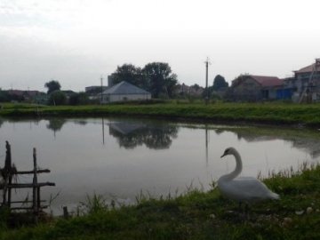 На Волині невідомі пошкодили греблю озера. ФОТО