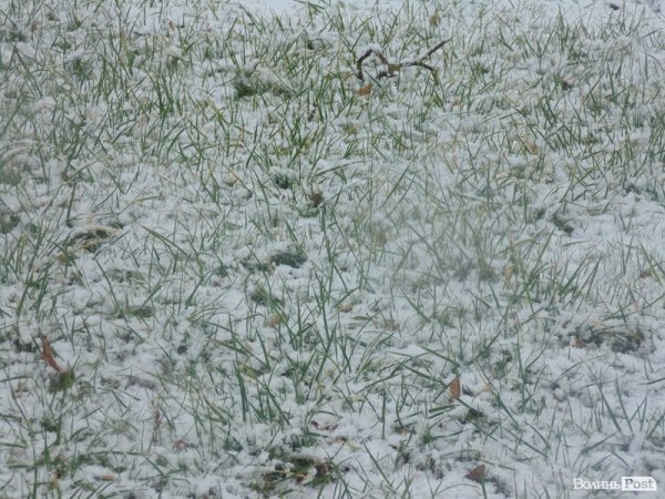 Луцьк засипає снігом. ФОТО