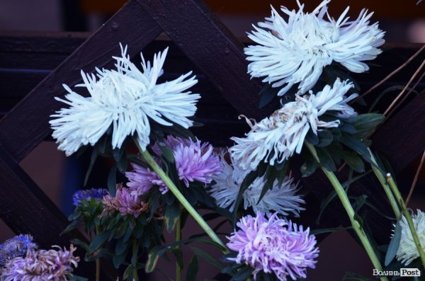 Фотопогляд: центральний парк Луцька