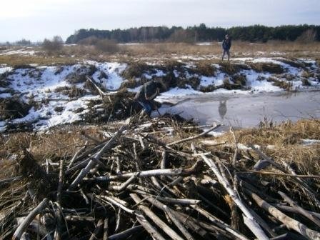 На Волині у меліоративних каналах значно піднявся рівень води. ФОТО