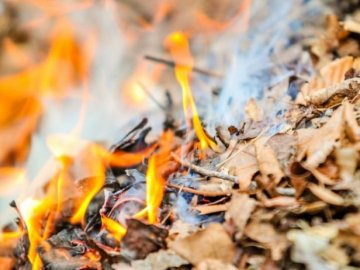 Лучан попереджають, що спалювання листя може прирівнятися до диверсійної роботи