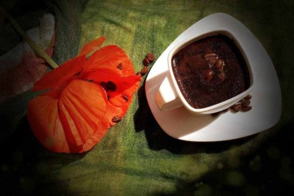 Фотовиставка Катерини Мазурець