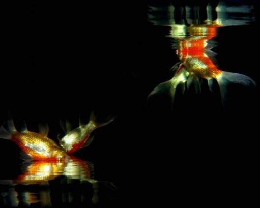 Фотовиставка Катерини Мазурець