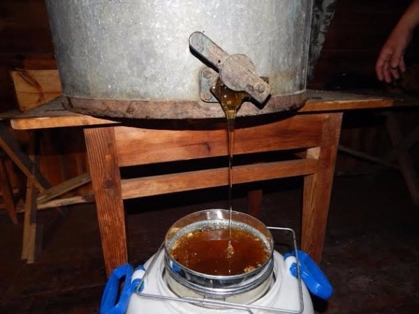 На Волині зібрали перший урожай меду. ФОТО