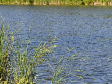 На Волині прокурори вимагають повернути громаді озеро вартістю 154 мільйони гривень 