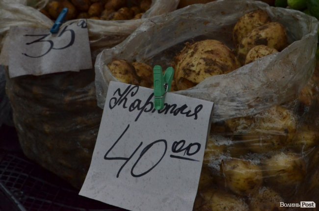 Від і до: почім на луцькому ринку молода картопля, огірки і зелена цибуля