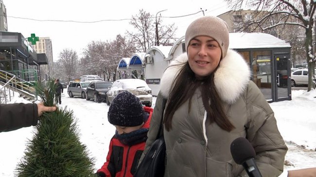 У Луцьку стартував продаж різдвяних ялинок: ціни