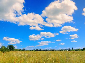 Поліський краю дорогий: краса Волині на знімках луцького фотографа