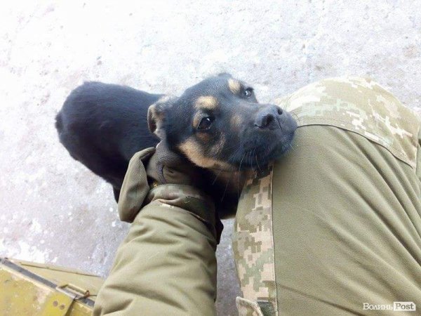 «Хлопці, яких війна так настирливо робить чоловіками, все ж залишаються дітьми», - волинська волонтерка ФОТО