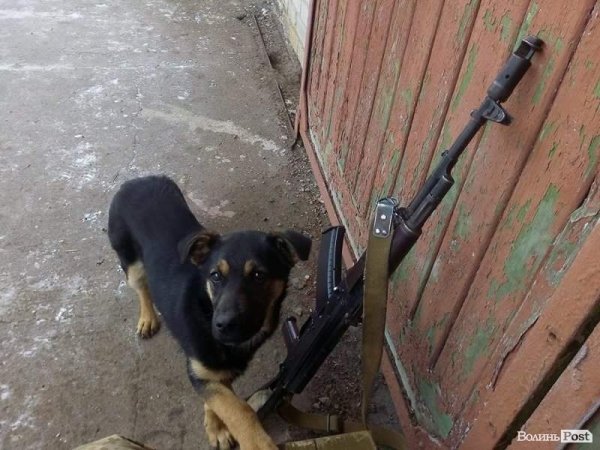 «Хлопці, яких війна так настирливо робить чоловіками, все ж залишаються дітьми», - волинська волонтерка ФОТО