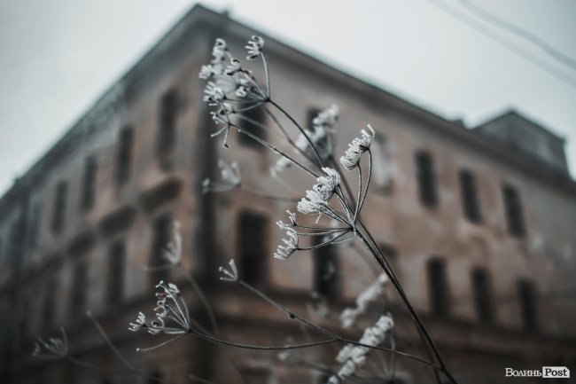 Туманно-сіра краса у Луцьку. ФОТО