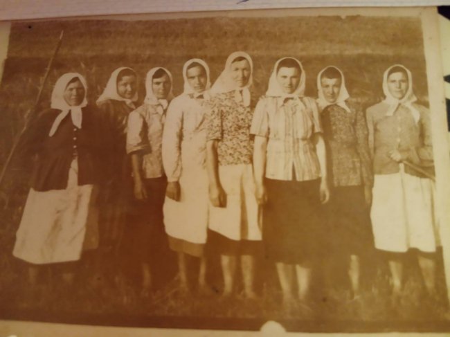 На світлині жінки колгоспної ланки під час роботи (село Борисковичі). 1960 рік. У спеку для роботи найзручнішими були перкальові хустки