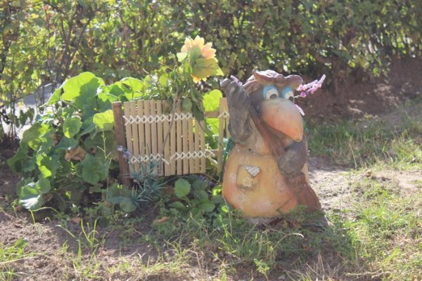 Вихованців луцького садочка №7 посвятили в козачата. ФОТО