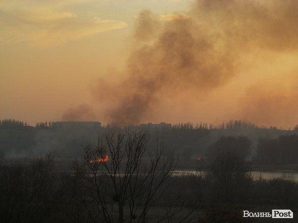 У Луцьку - чергова пожежа Гнідавського болота. ФОТО. ОНОВЛЕНО