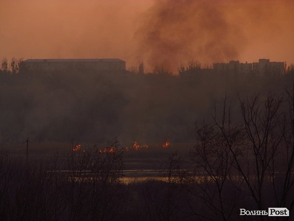 У Луцьку - чергова пожежа Гнідавського болота. ФОТО. ОНОВЛЕНО