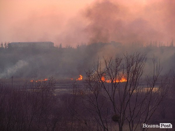У Луцьку - чергова пожежа Гнідавського болота. ФОТО. ОНОВЛЕНО