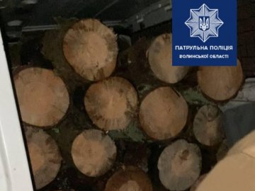 Волинські патрульні зупинили водія за порушення ПДР та виявили у нього в автівці незаконну деревину. ФОТО