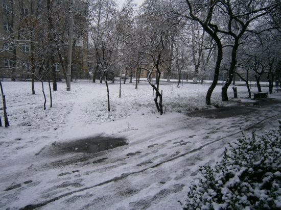 Яким був перший день зими у Ковелі. ФОТО