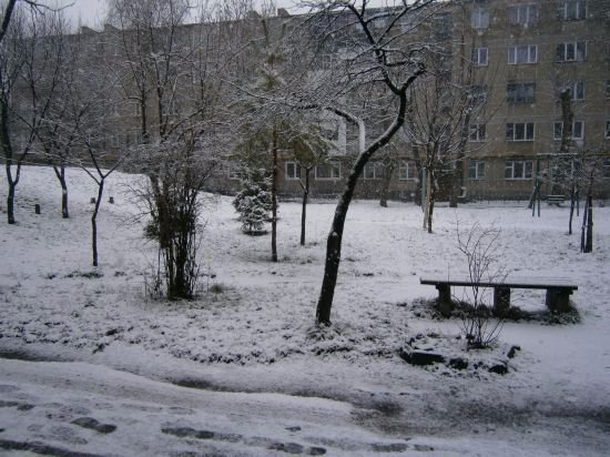 Яким був перший день зими у Ковелі. ФОТО