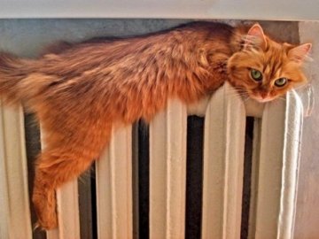 У Володимирі завершили опалювальний сезон 