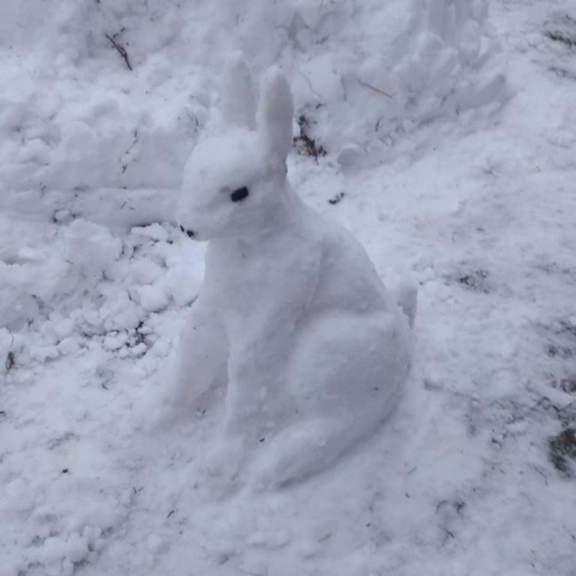 Волиняни в соцмережах активно діляться світлинами сніговиків. ФОТО