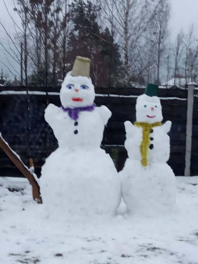 Волиняни в соцмережах активно діляться світлинами сніговиків. ФОТО