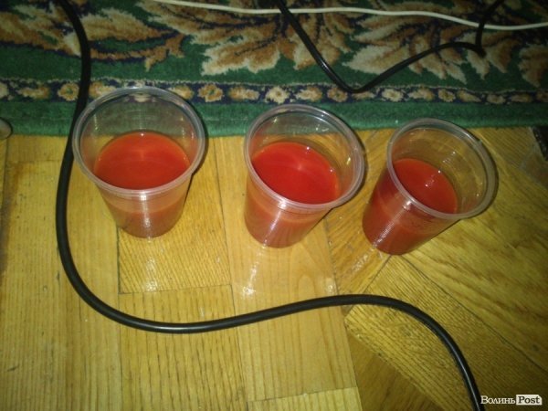 Луцьких регіоналів захотіли «напоїти кров’ю». ФОТО