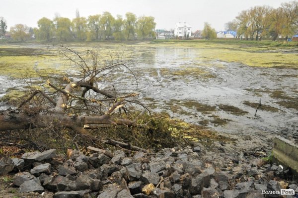 Як чистять ставки в Теремно. ФОТО