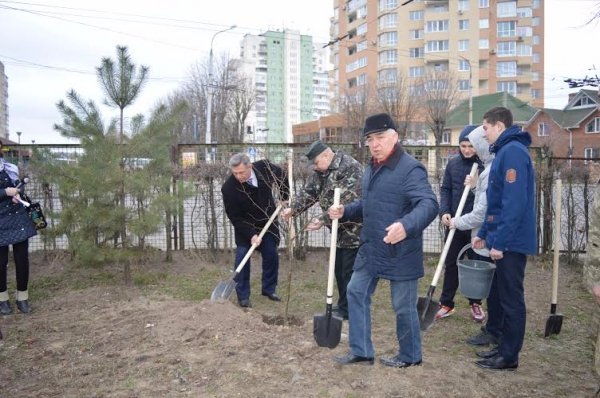 Волинські лісівники допомагають озеленювати Луцьк. ФОТО