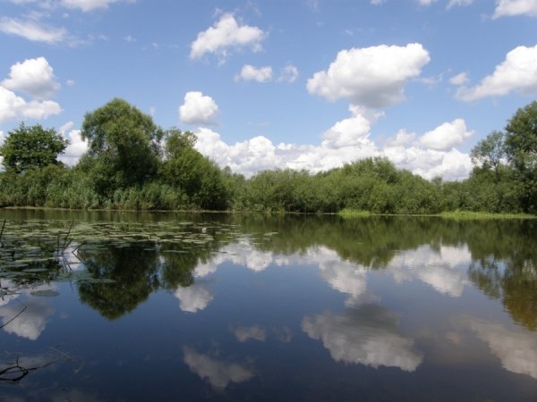 Фотовиставка Світлани Зозулі