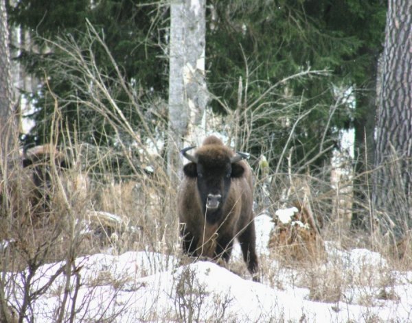 Фотовиставка Світлани Зозулі