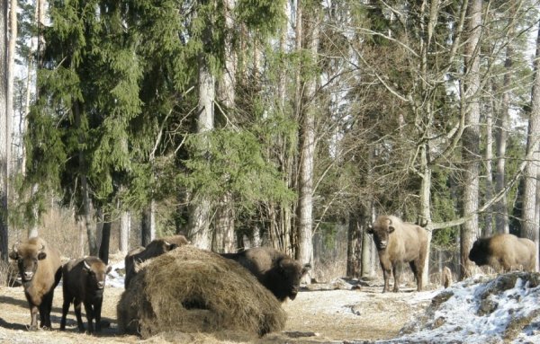 Фотовиставка Світлани Зозулі