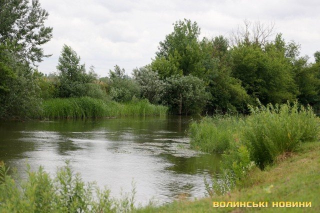 Як у Луцьку на Івана Купала освячували воду у Стиру. ФОТО