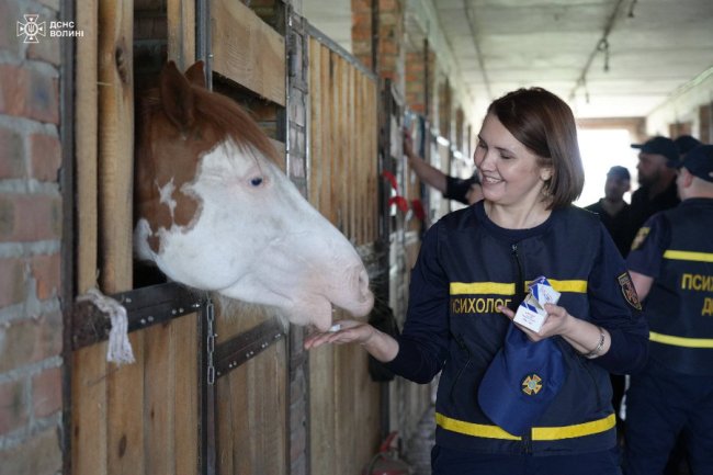 Волинські піротехніки відновлювалися іпотерапією. ФОТО