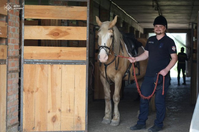 Волинські піротехніки відновлювалися іпотерапією. ФОТО